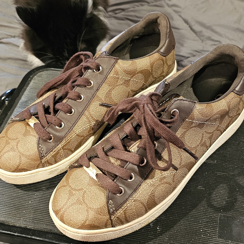 Authentic coach sneakers. Beautifully colored and comfortable cute with shorts